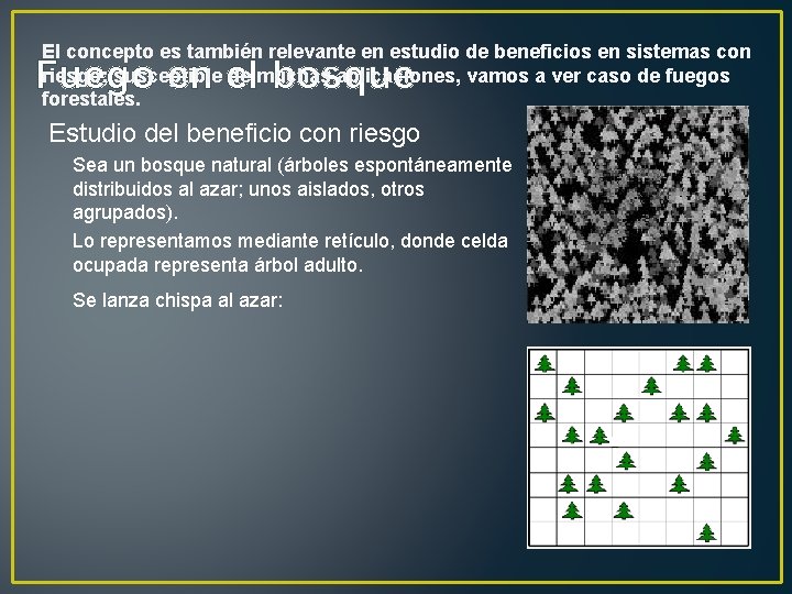 El concepto es también relevante en estudio de beneficios en sistemas con riesgo; susceptible