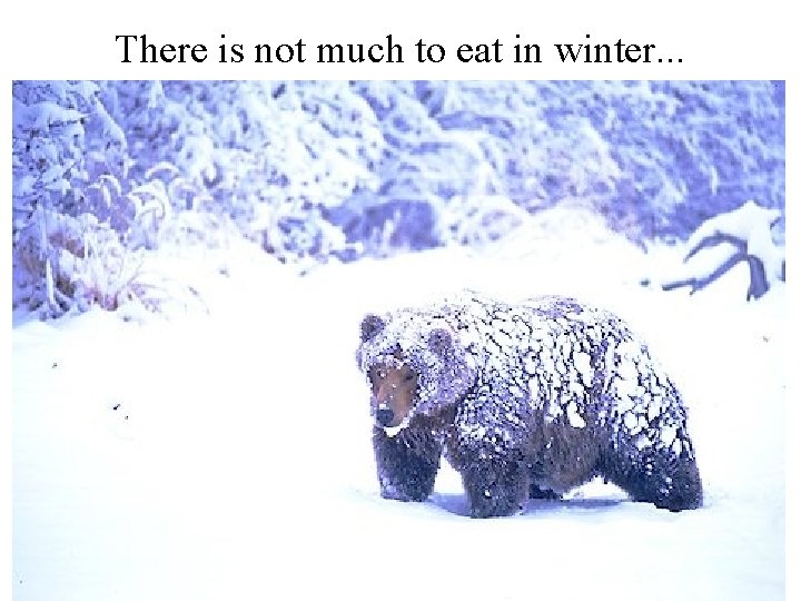 There is not much to eat in winter. . . 