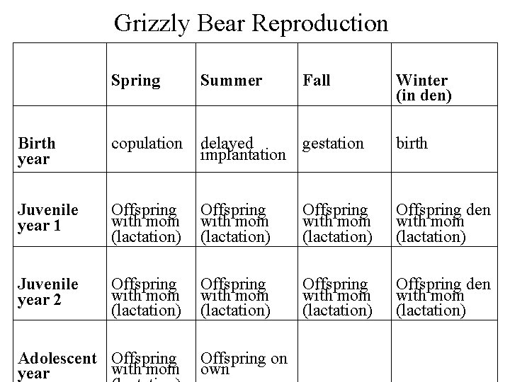 Grizzly Bear Reproduction Spring Summer Birth year copulation delayed gestation implantation birth Juvenile year