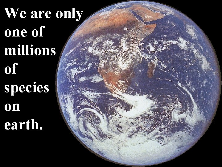 We are only one of millions of species on earth. 