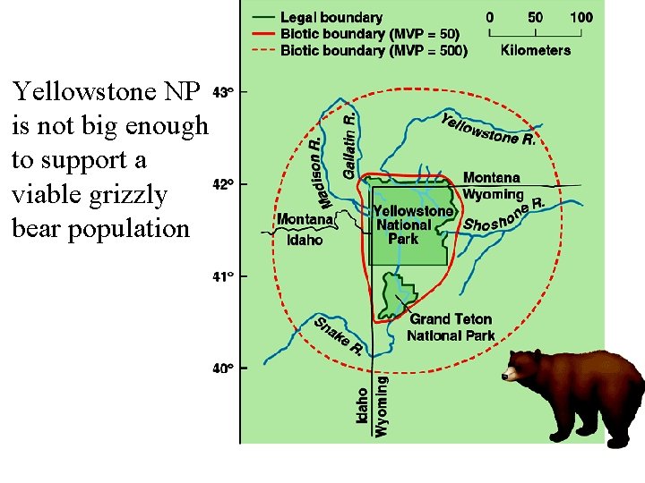 Yellowstone NP is not big enough to support a viable grizzly bear population 