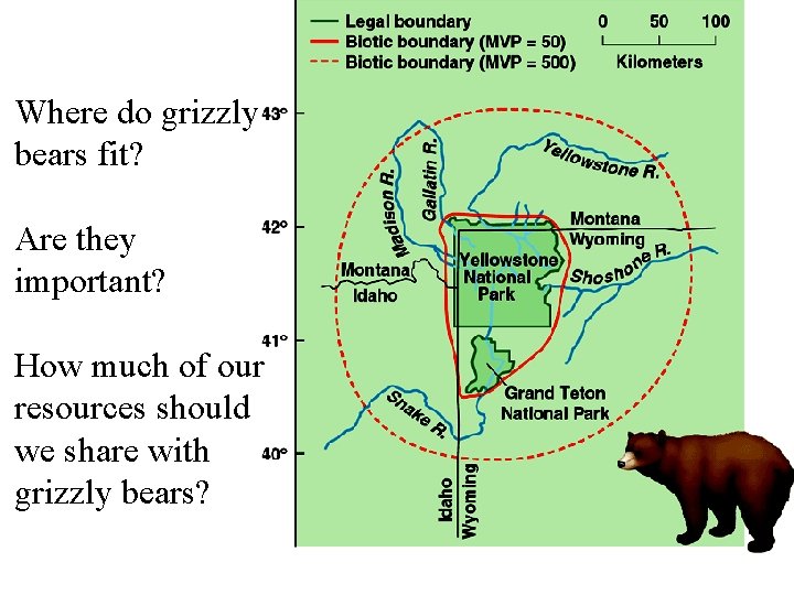 Where do grizzly bears fit? Are they important? How much of our resources should