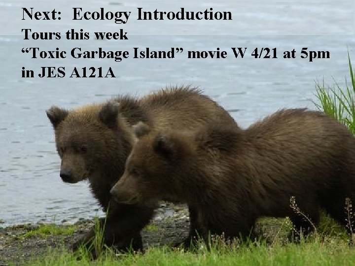 Next: Ecology Introduction Tours this week “Toxic Garbage Island” movie W 4/21 at 5