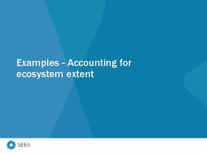 Examples – Accounting for ecosystem extent 