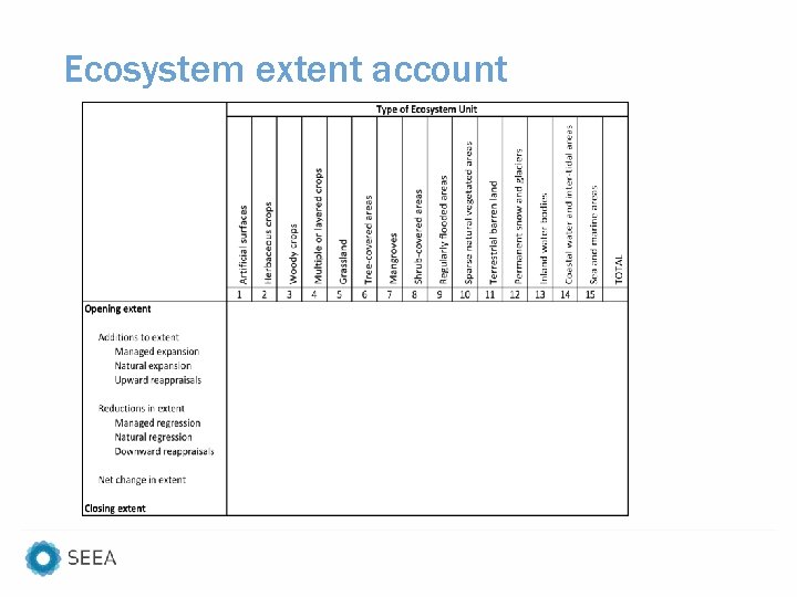 Ecosystem extent account 