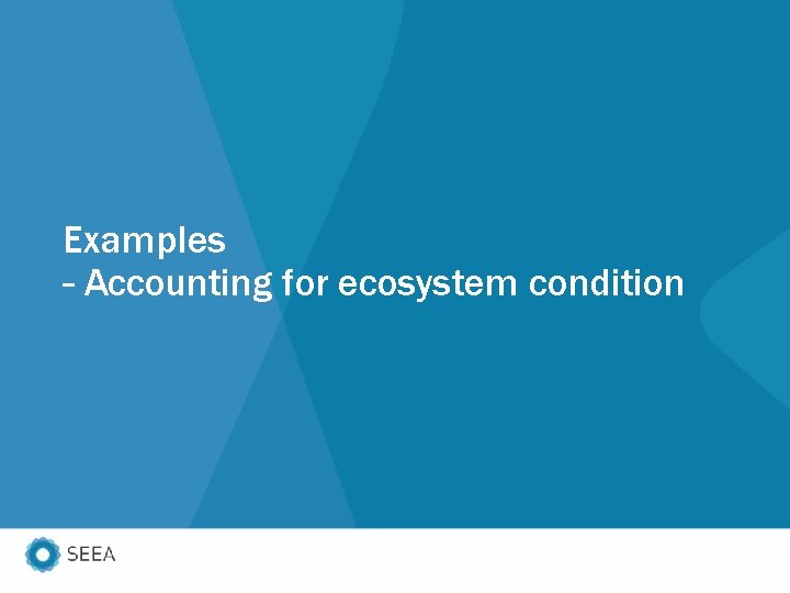 Examples – Accounting for ecosystem condition 