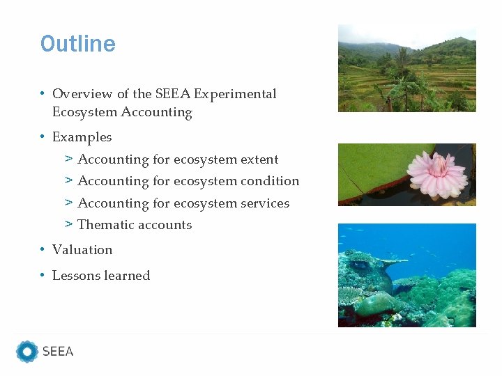 Outline • Overview of the SEEA Experimental Ecosystem Accounting • Examples > Accounting for