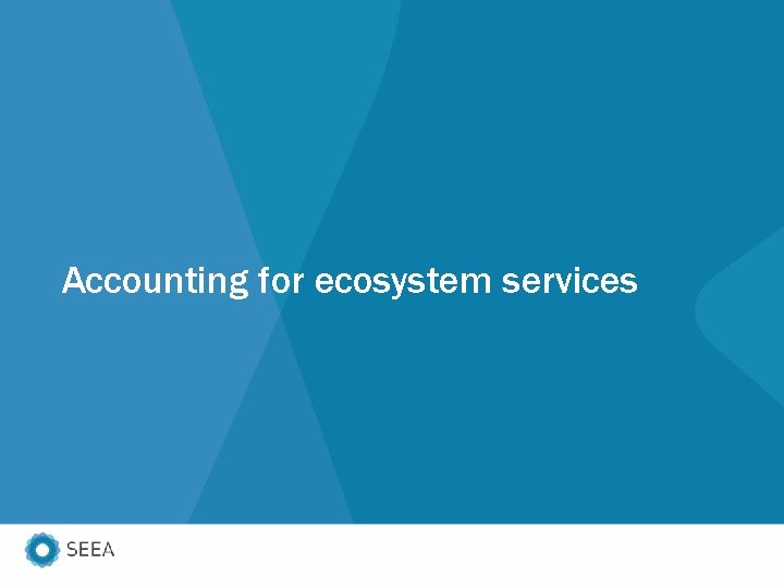 Accounting for ecosystem services 