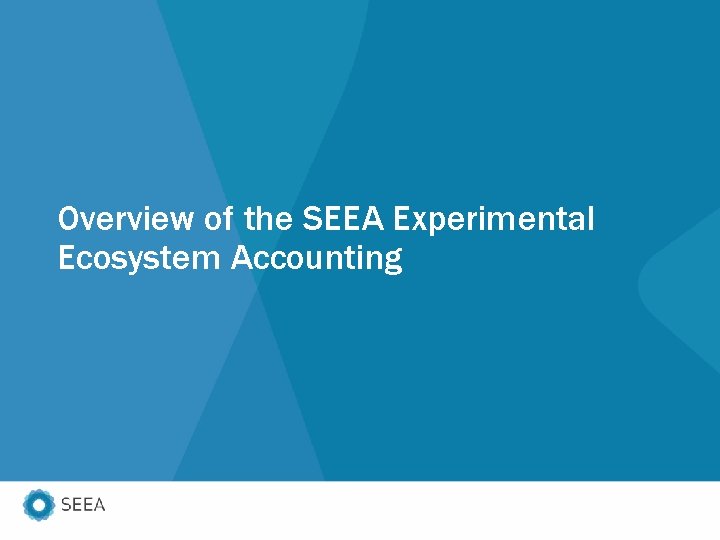 Overview of the SEEA Experimental Ecosystem Accounting 