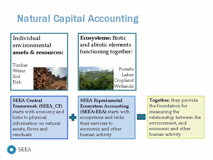 Natural Capital Accounting Individual environmental assets & resources: Timber Water Soil Fish SEEA Central