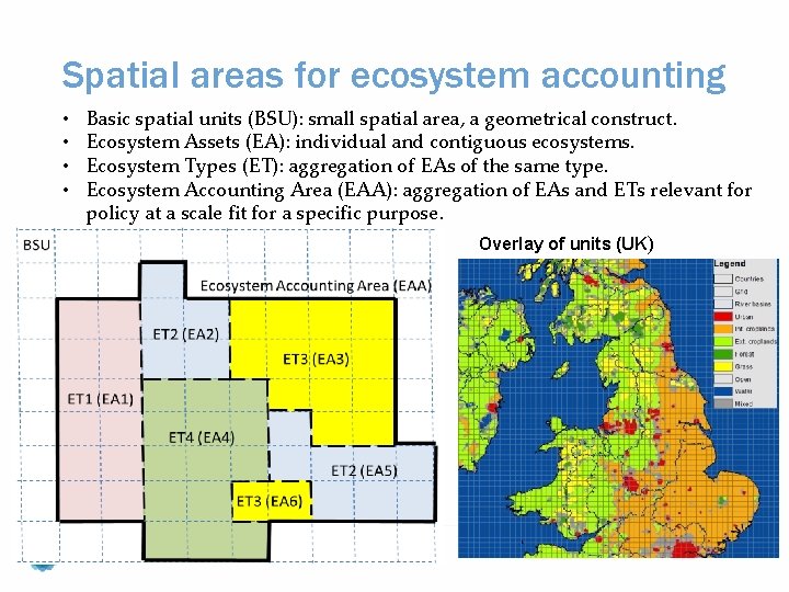 Spatial areas for ecosystem accounting • • Basic spatial units (BSU): small spatial area,