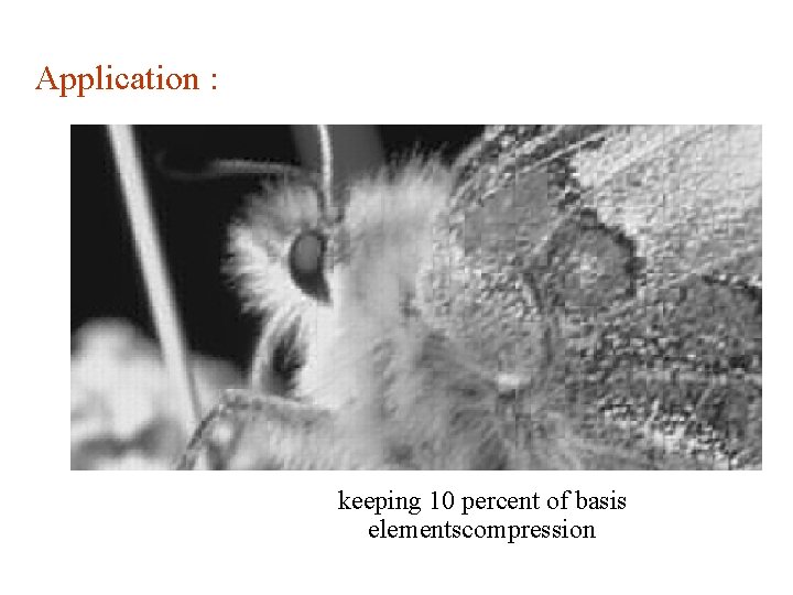 Application : keeping 10 percent of basis elementscompression 