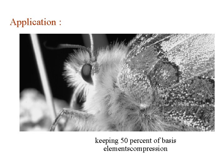Application : keeping 50 percent of basis elementscompression 
