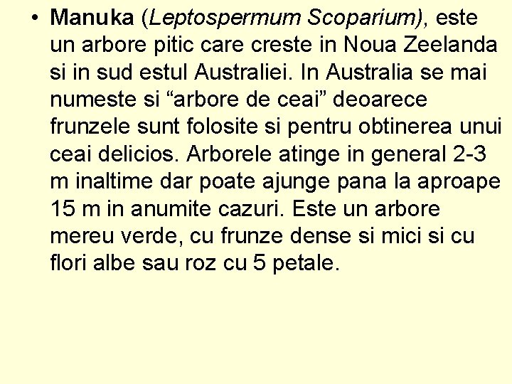  • Manuka (Leptospermum Scoparium), este un arbore pitic care creste in Noua Zeelanda
