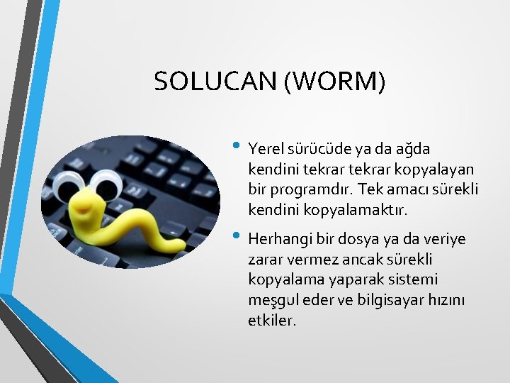 SOLUCAN (WORM) • Yerel sürücüde ya da ağda kendini tekrar kopyalayan bir programdır. Tek
