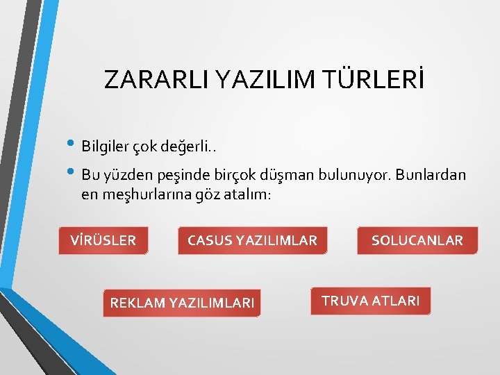 ZARARLI YAZILIM TÜRLERİ • Bilgiler çok değerli. . • Bu yüzden peşinde birçok düşman