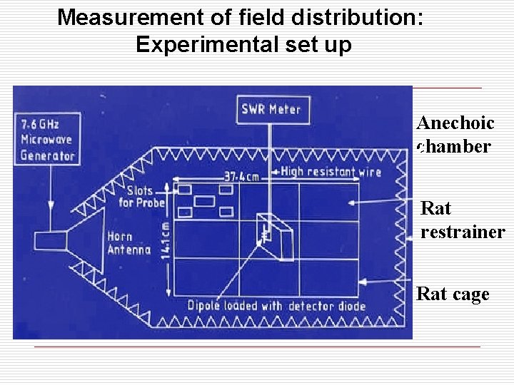 Measurement of field distribution: Experimental set up Anechoic chamber Rat restrainer Rat cage 