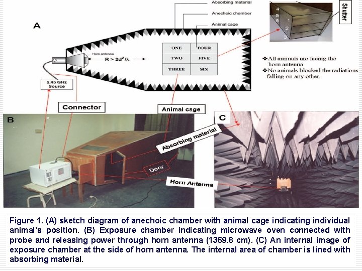 Figure 1. (A) sketch diagram of anechoic chamber with animal cage indicating individual animal’s