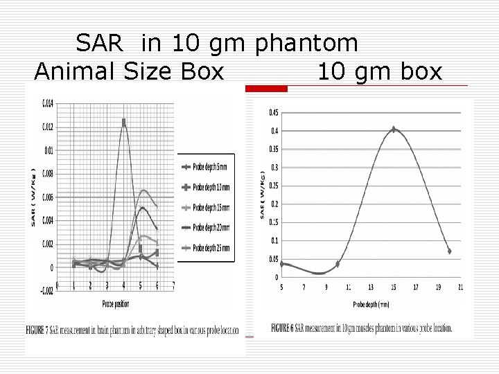  SAR in 10 gm phantom Animal Size Box 10 gm box 