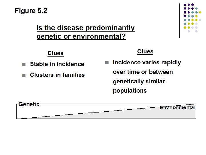 Figure 5. 2 Is the disease predominantly genetic or environmental? Clues n Stable in