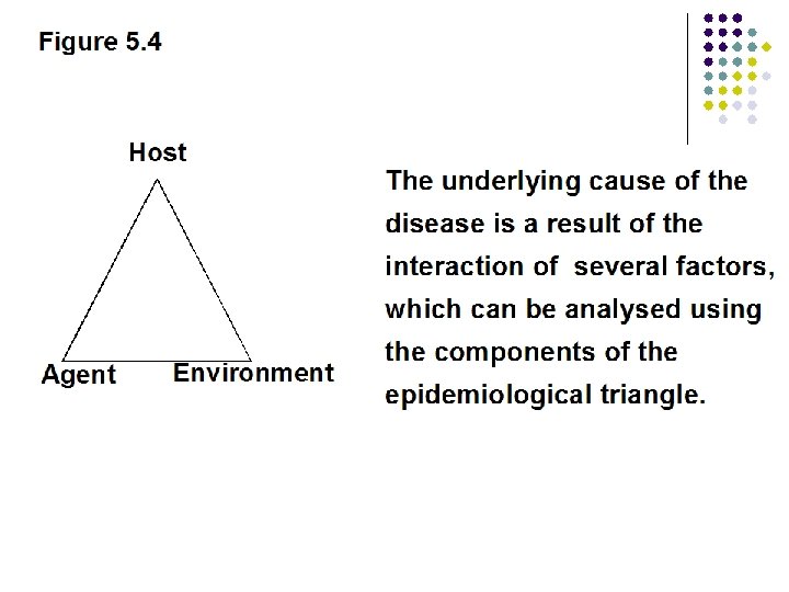 Figure 5. 4 Host The underlying cause of the disease is a result of