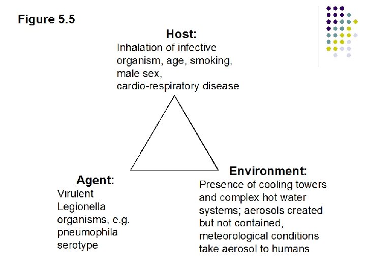 Figure 5. 5 Host: Inhalation of infective organism, age, smoking, male sex, cardio-respiratory disease