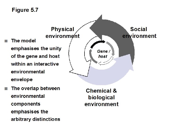 Figure 5. 7 n The model Social environment Physical environment emphasises the unity of