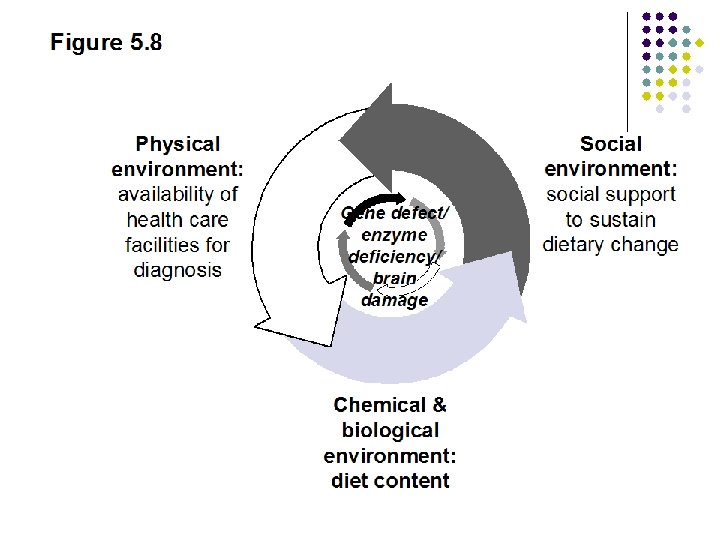 Figure 5. 8 Physical environment: availability of health care facilities for diagnosis Gene defect/