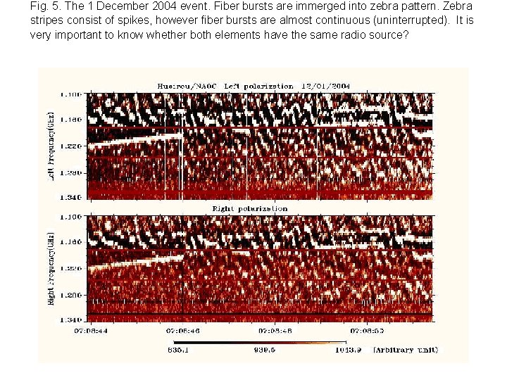 Fig. 5. The 1 December 2004 event. Fiber bursts are immerged into zebra pattern.