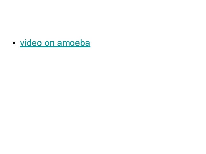  • video on amoeba 