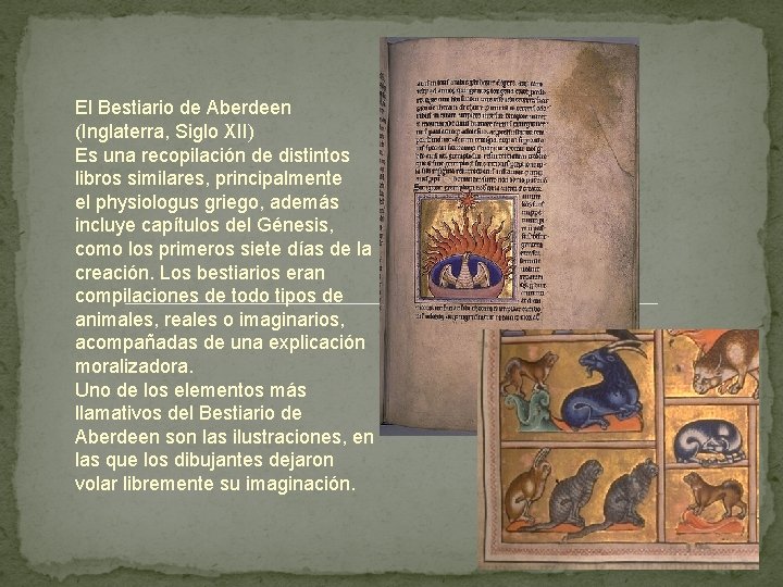 El Bestiario de Aberdeen (Inglaterra, Siglo XII) Es una recopilación de distintos libros similares,