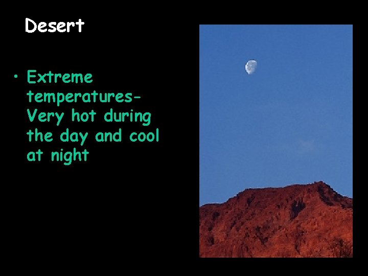 Desert • Extreme temperatures. Very hot during the day and cool at night 