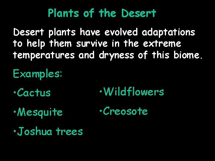 Plants of the Desert plants have evolved adaptations to help them survive in the