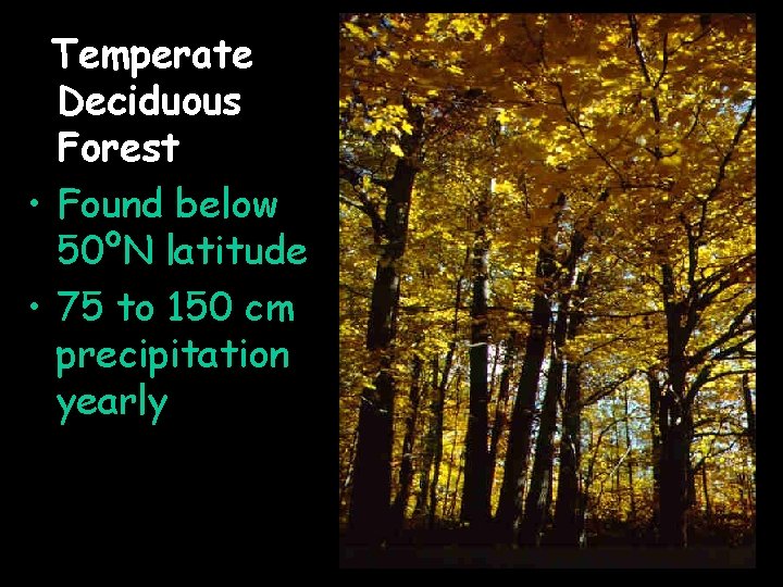 Temperate Deciduous Forest • Found below 50ºN latitude • 75 to 150 cm precipitation