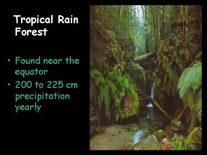 Tropical Rain Forest • Found near the equator • 200 to 225 cm precipitation