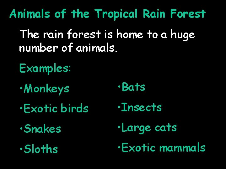 Animals of the Tropical Rain Forest The rain forest is home to a huge
