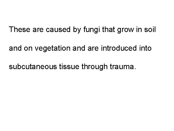 These are caused by fungi that grow in soil and on vegetation and are