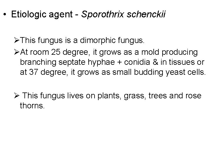 • Etiologic agent - Sporothrix schenckii ØThis fungus is a dimorphic fungus. ØAt