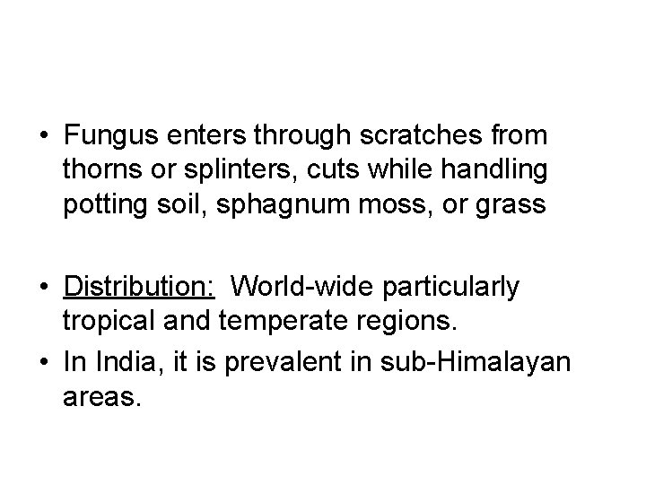  • Fungus enters through scratches from thorns or splinters, cuts while handling potting