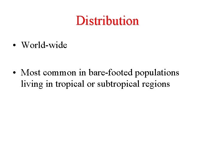 Distribution • World-wide • Most common in bare-footed populations living in tropical or subtropical