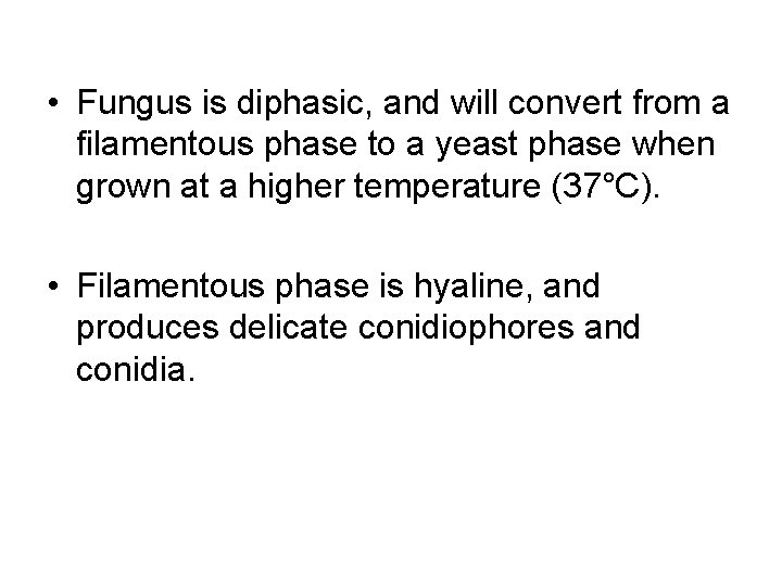  • Fungus is diphasic, and will convert from a filamentous phase to a