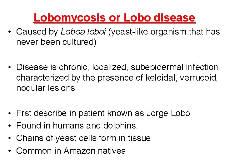 Lobomycosis or Lobo disease • Caused by Loboa loboi (yeast-like organism that has never