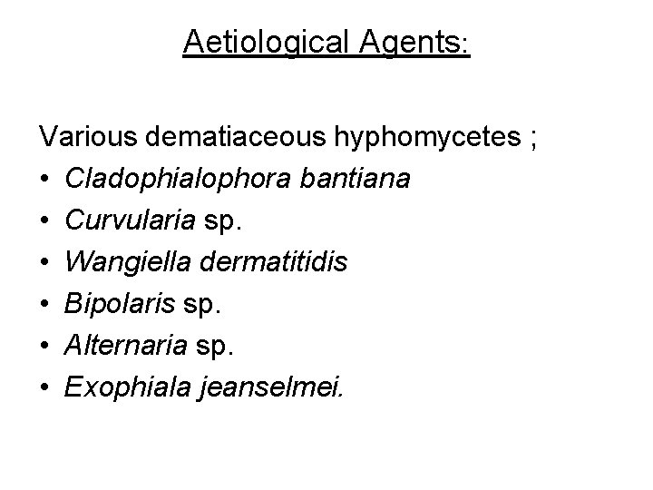 Aetiological Agents: Various dematiaceous hyphomycetes ; • Cladophialophora bantiana • Curvularia sp. • Wangiella