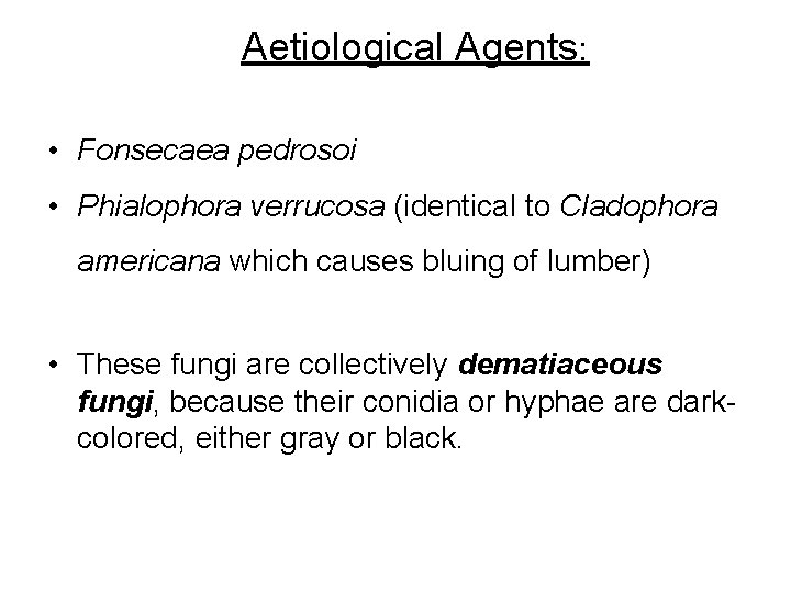 Aetiological Agents: • Fonsecaea pedrosoi • Phialophora verrucosa (identical to Cladophora americana which causes