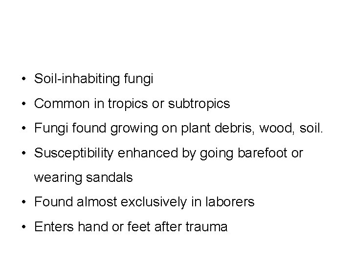  • Soil-inhabiting fungi • Common in tropics or subtropics • Fungi found growing