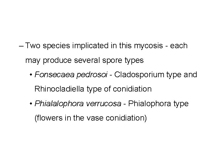 – Two species implicated in this mycosis - each may produce several spore types