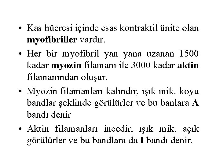  • Kas hücresi içinde esas kontraktil ünite olan myofibriller vardır. • Her bir
