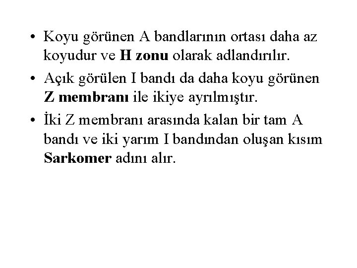  • Koyu görünen A bandlarının ortası daha az koyudur ve H zonu olarak