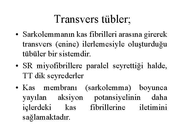 Transvers tübler; • Sarkolemmanın kas fibrilleri arasına girerek transvers (enine) ilerlemesiyle oluşturduğu tübüler bir