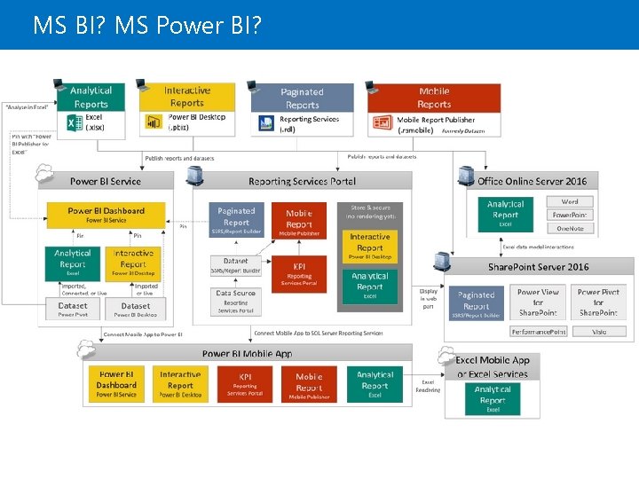 MS BI? MS Power BI? 